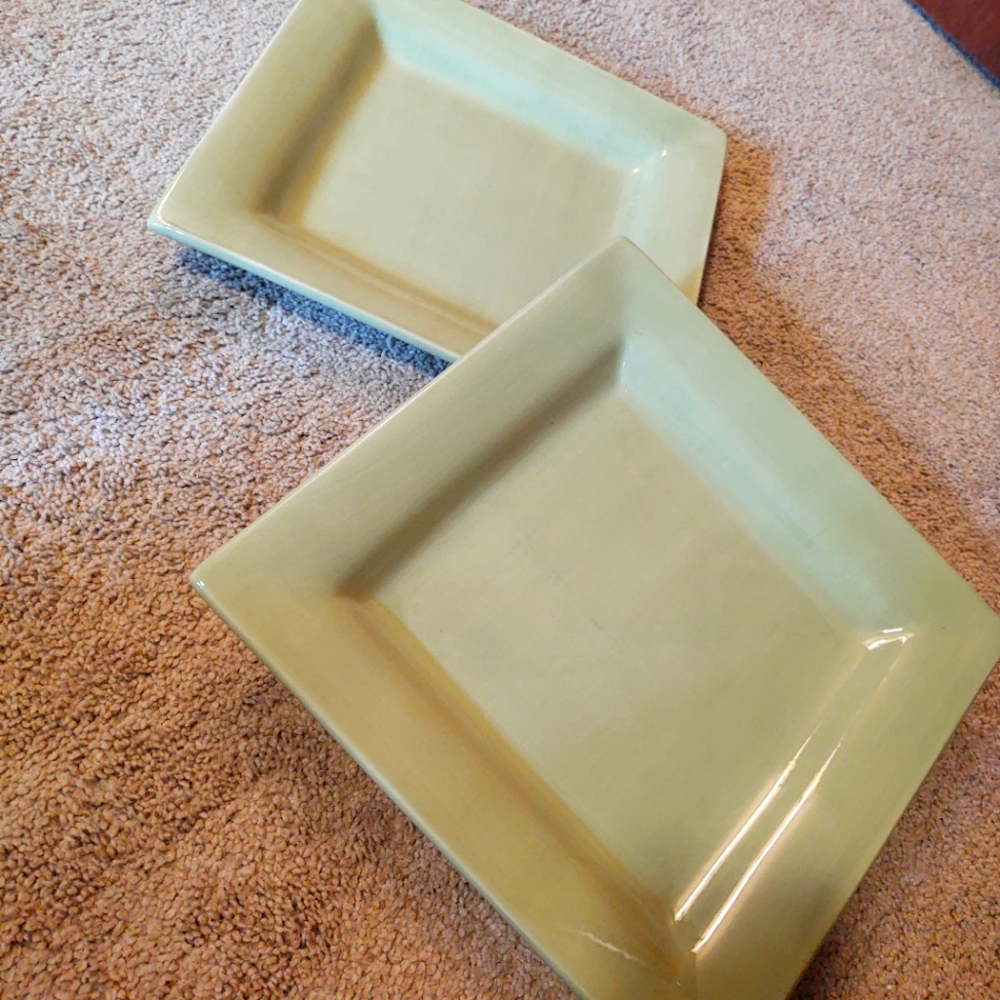 Dinner plates